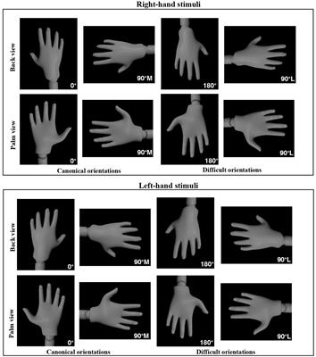 Implicit motor imagery: examining motor vs. visual strategies in laterality judgments among older adults